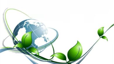 Photo of Смартфоны и экология: как техника влияет на окружающую среду