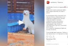 Photo of Instagram: обзор функций и возможностей