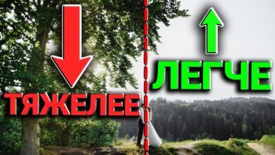 Photo of Основные принципы композиции в фотографии