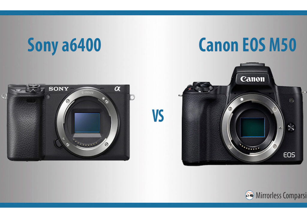 Фото 8 — Выбор камеры для видеоблога: Sony A6400 против Canon EOS M50