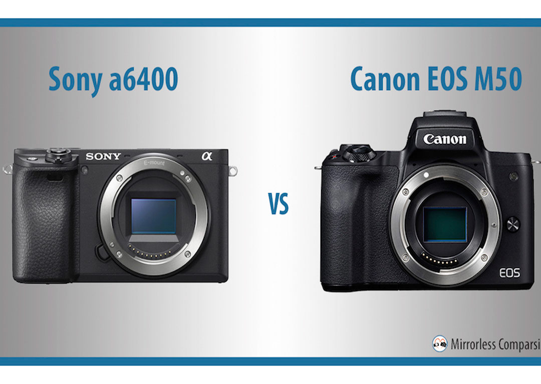 Фото 8 — Выбор камеры для видеоблога: Sony A6400 против Canon EOS M50