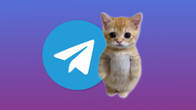 Photo of Telegram: как пользоваться приложением