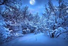 Photo of Советы по настройке экрана главного меню